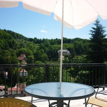 Konukevi Waldhaus-hutzelhoeh